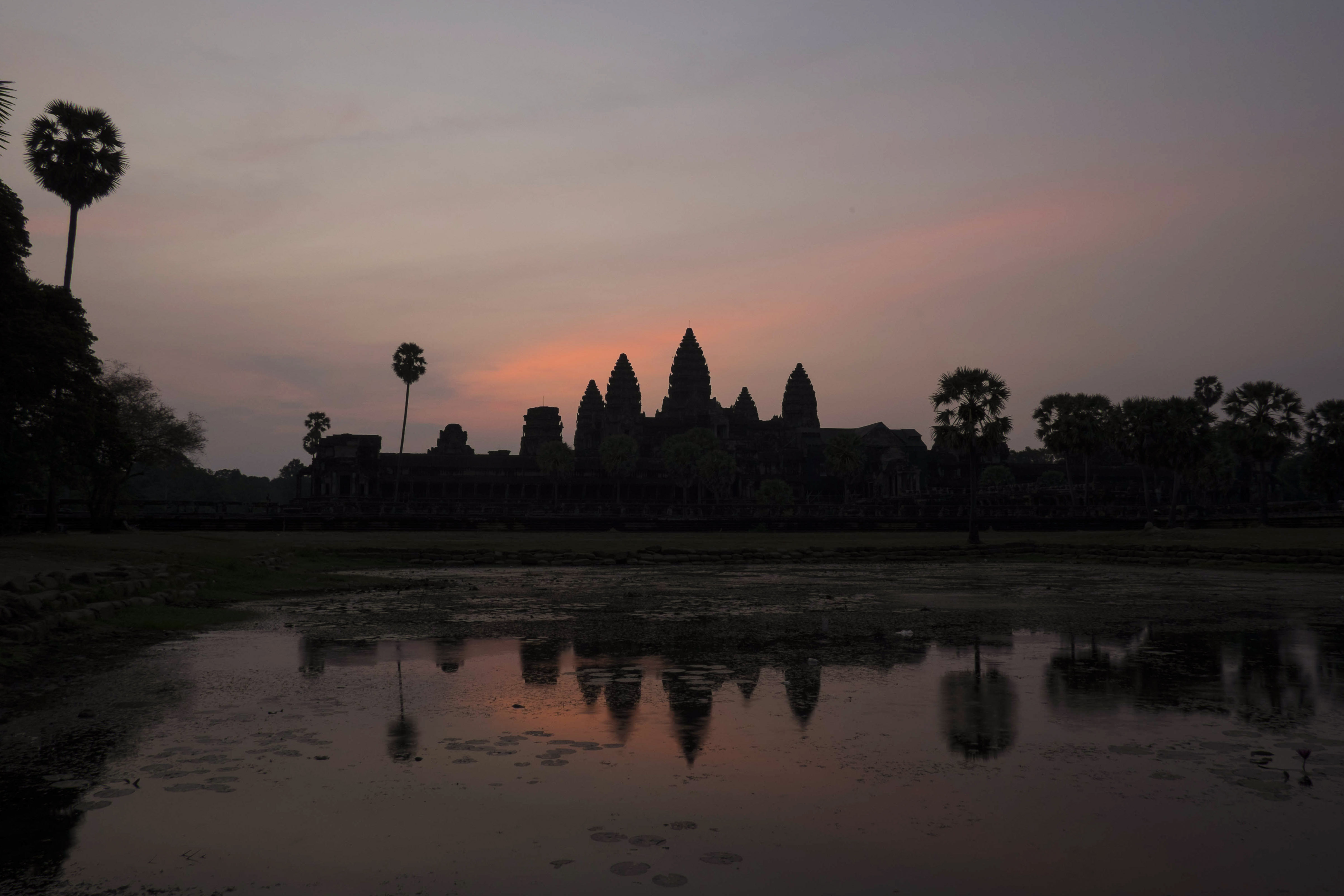 Angkor Wat-1481